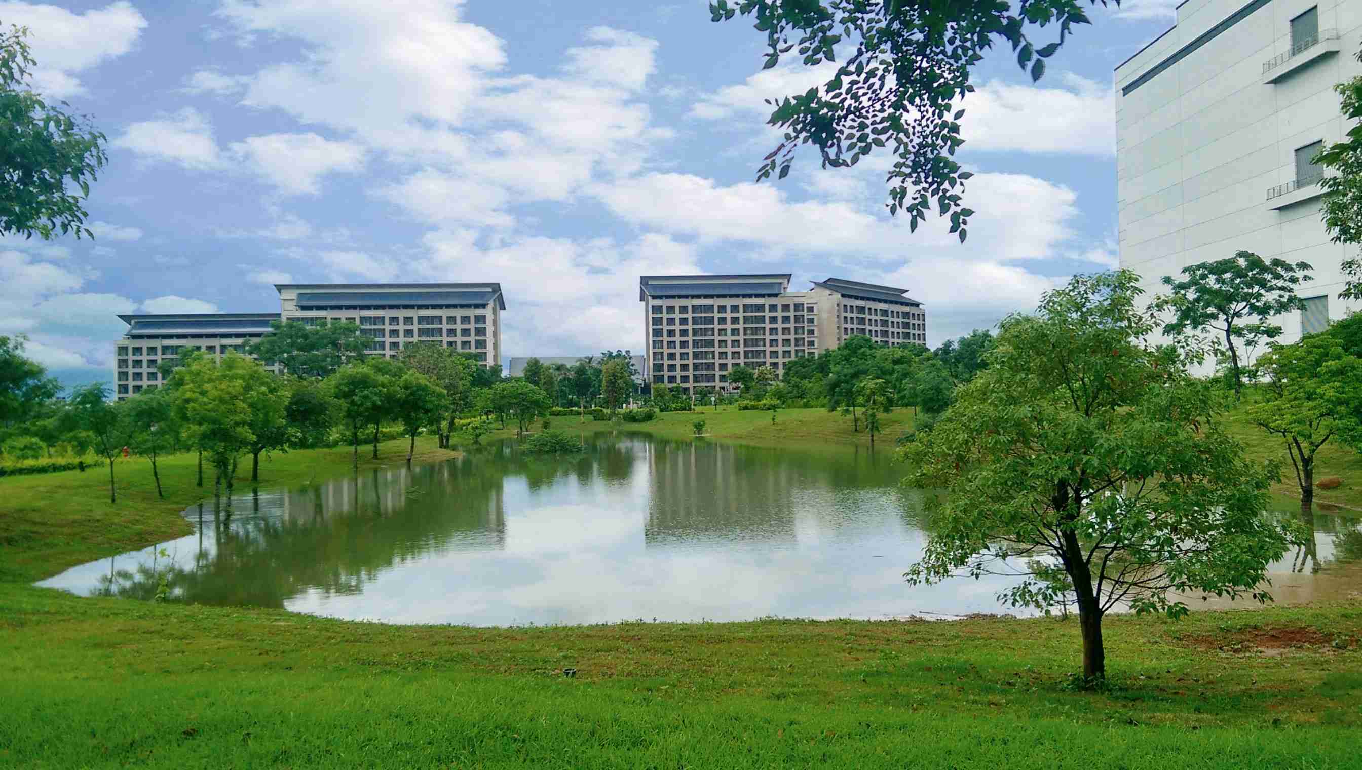 彩运网响应国际倡议生物多样性趋势，，首次发布TNFD自然相关财务揭露报告书，，，擘划及开展彩运网生物多样性政策之承诺，，，，逐步迈向与自然和谐共生