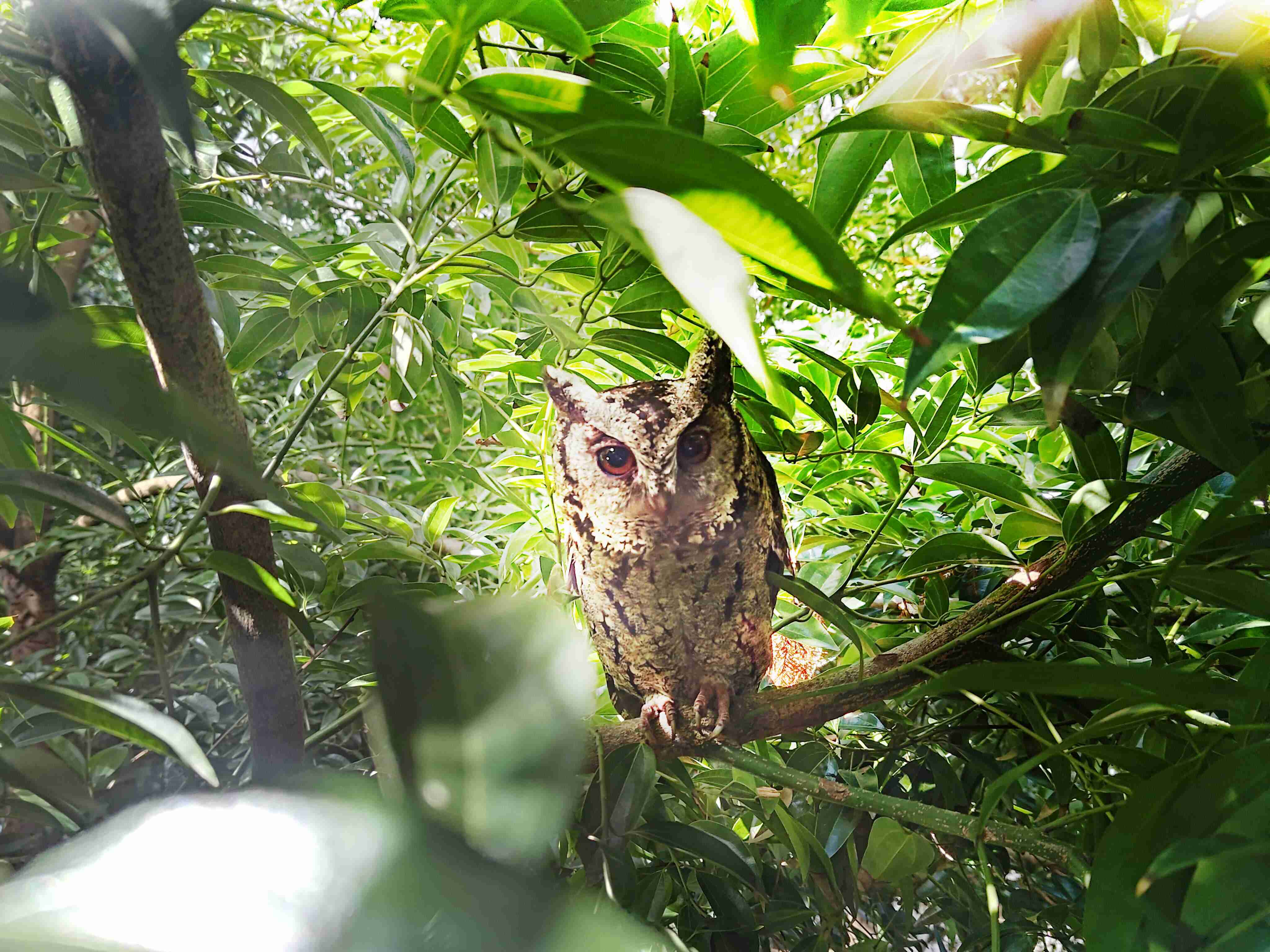 彩运网致力提倡净零绿生活，，，，16年以来在全球各厂区植树逾百万棵，，，，造就各厂区树木蔚然成林，，，，犹如森林工厂，，，成为许多生物的栖息地